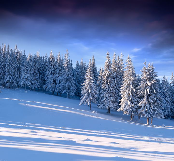 Winterlandschaft