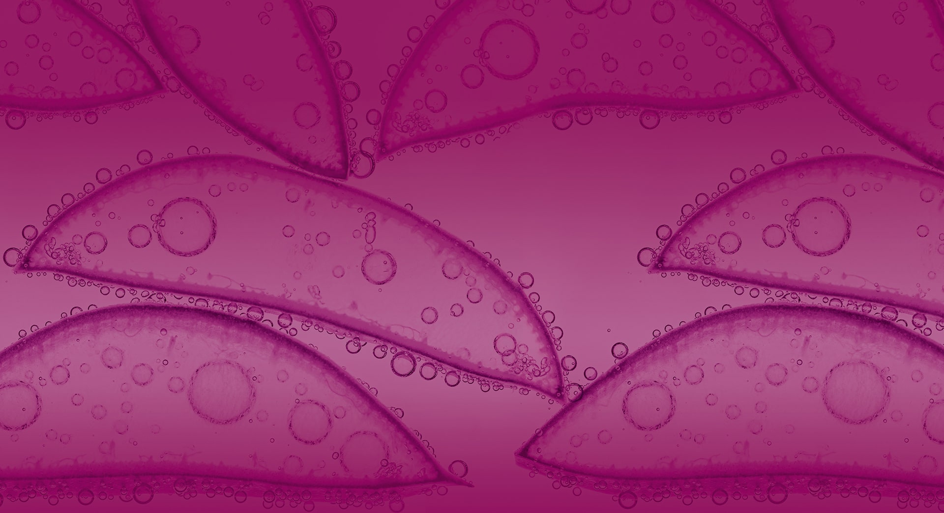 header-ocuvers-complete-hg